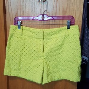 Summer Shorts Yellow Stylish Great Quality Bright